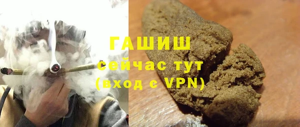 гидра Верхний Тагил