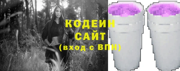 гидра Верхний Тагил