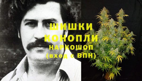 гидра Верхний Тагил