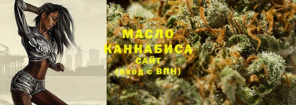 гидра Верхний Тагил