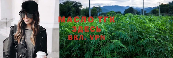 гидра Верхний Тагил