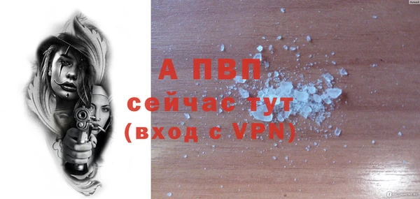 гидра Верхний Тагил